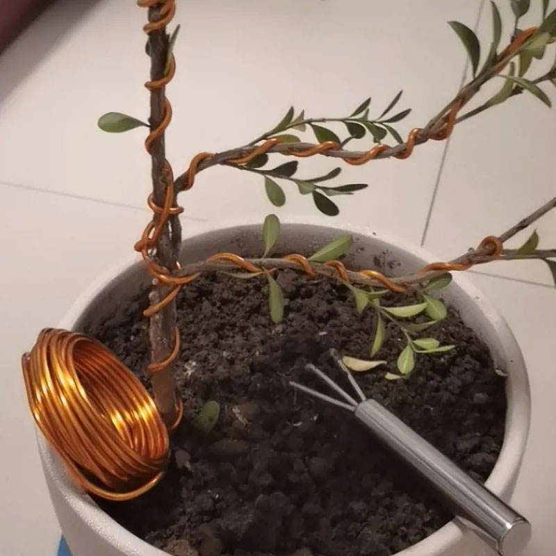Concave Branch Cutter - 10/5M Plant Support Bonsai Wires 0.8-3.0mm