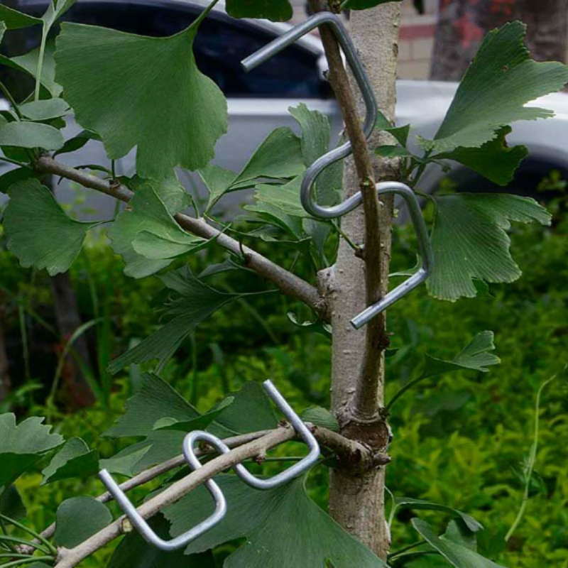 50pcsFruit Tree Branch Bender  - Concave Branch Cutter 评论和价格