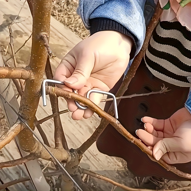 50pcsFruit Tree Branch Bender  - Concave Branch Cutter 评论和价格