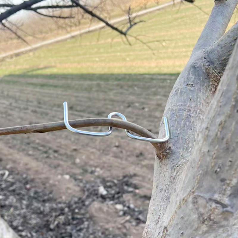 50pcsFruit Tree Branch Bender  - Concave Branch Cutter 评论和价格