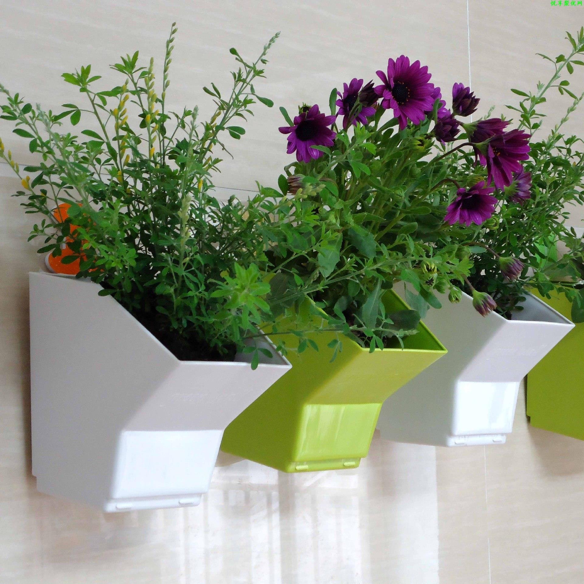 2 pcs Wall Hanging Planter Flo - Bonsai Vertical Garden 评论和价格