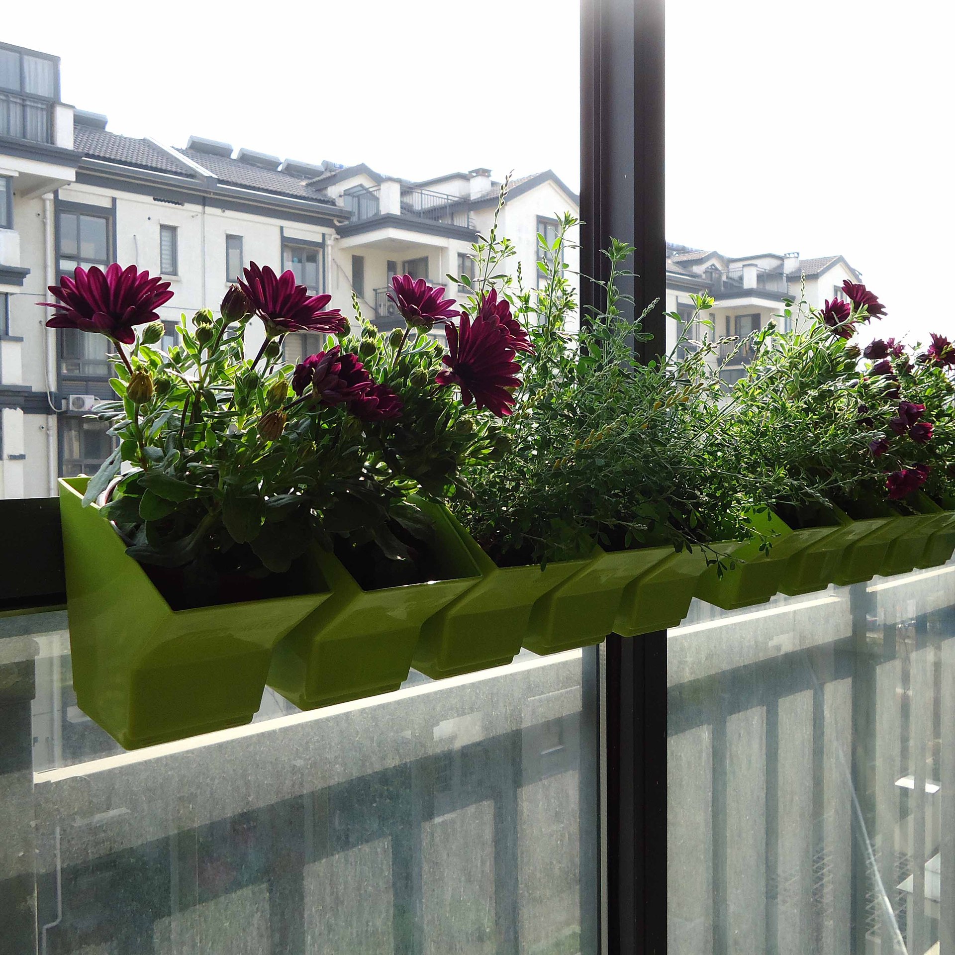 2 pcs Wall Hanging Planter Flo - Bonsai Vertical Garden 评论和价格