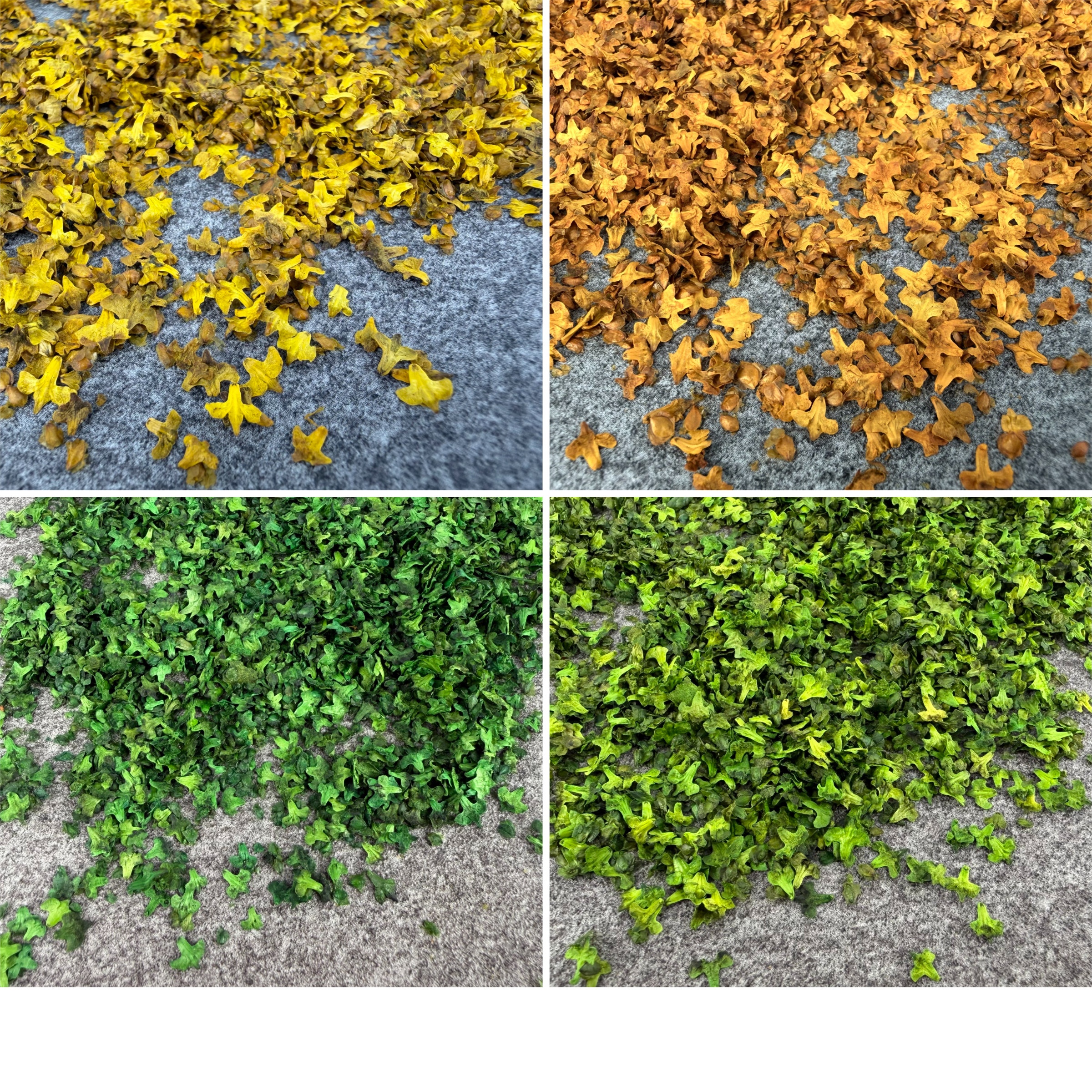 33ML Miniature Simulation Fall - Bonsai Garden Layout 评论和价格