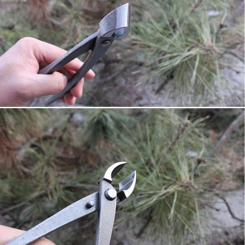 Bonsai Knob Cutter Concave Edg - Concave Branch Cutter 评论和价格