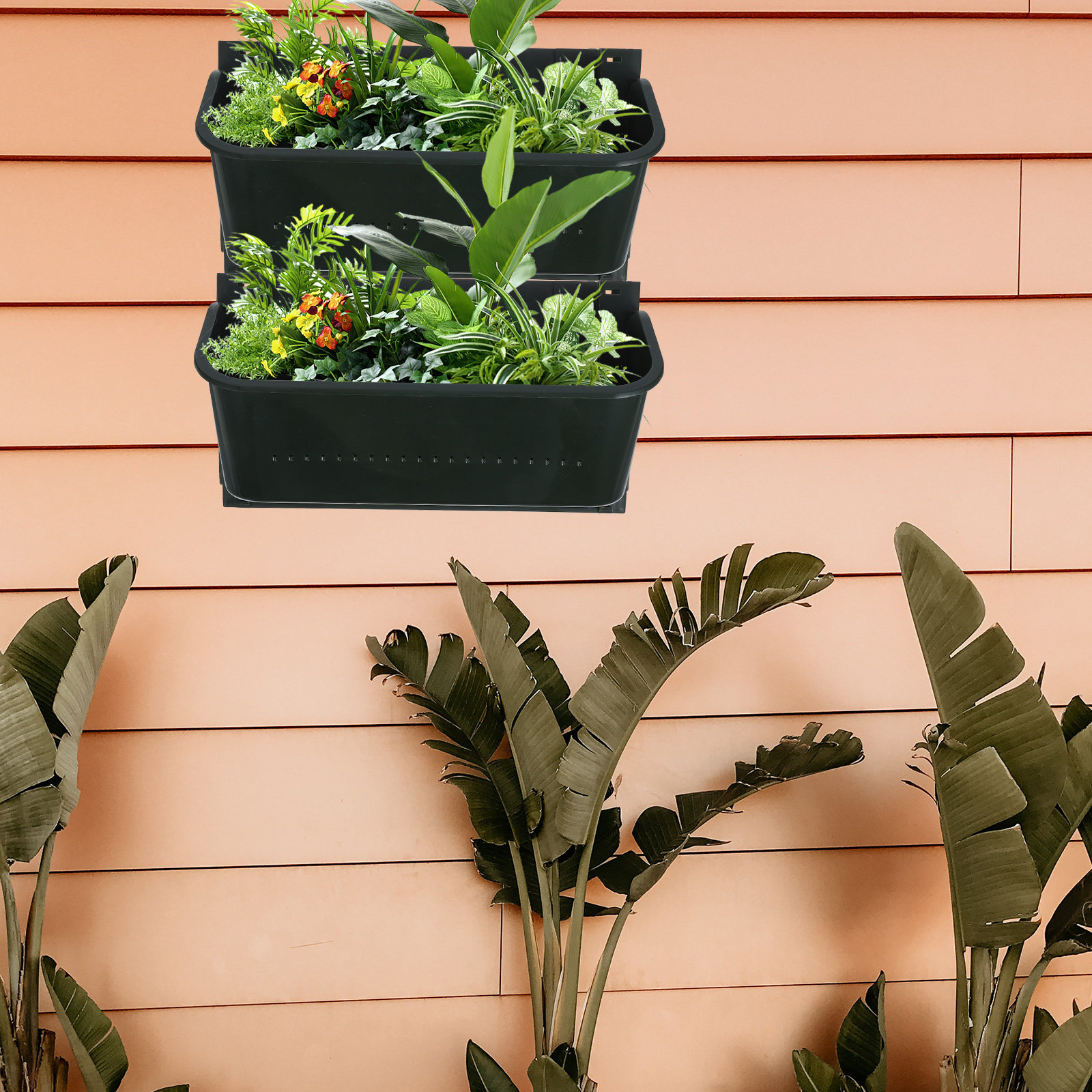 Space Saving Wall Hanging Plan - Bonsai Vertical Garden 评论和价格