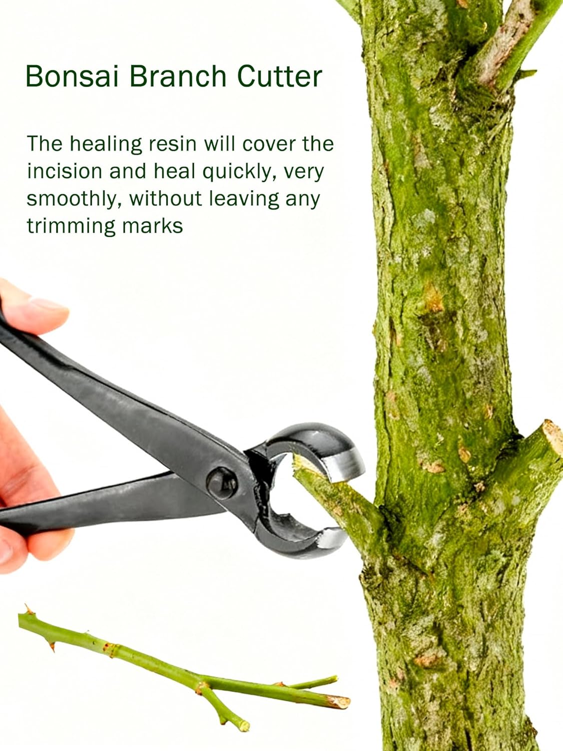 Bonsai Concave Cutter 8.4 Inch - Concave Branch Cutter 评论和价格