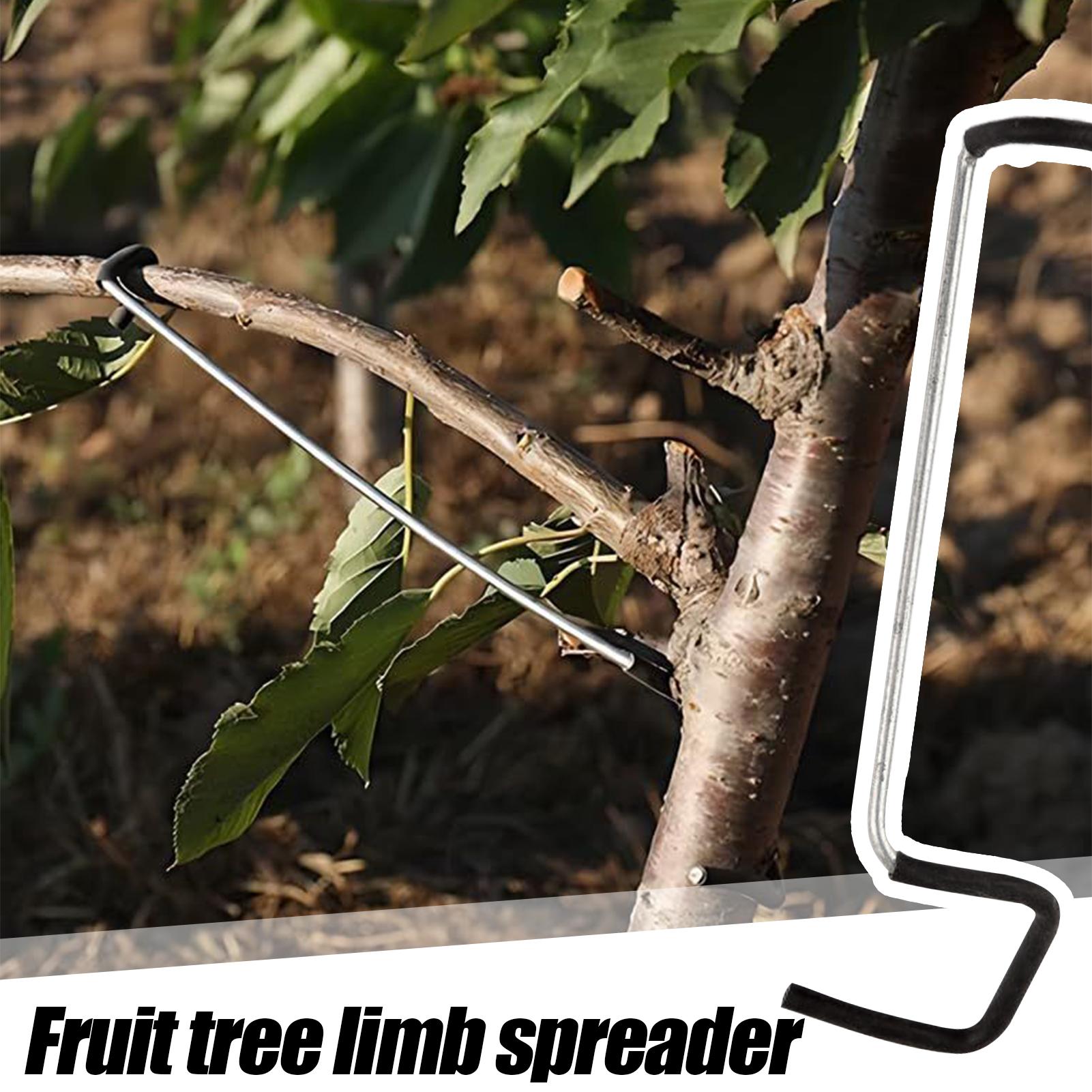Tree Branch Spreader 10X Tree  - Concave Branch Cutter 评论和价格