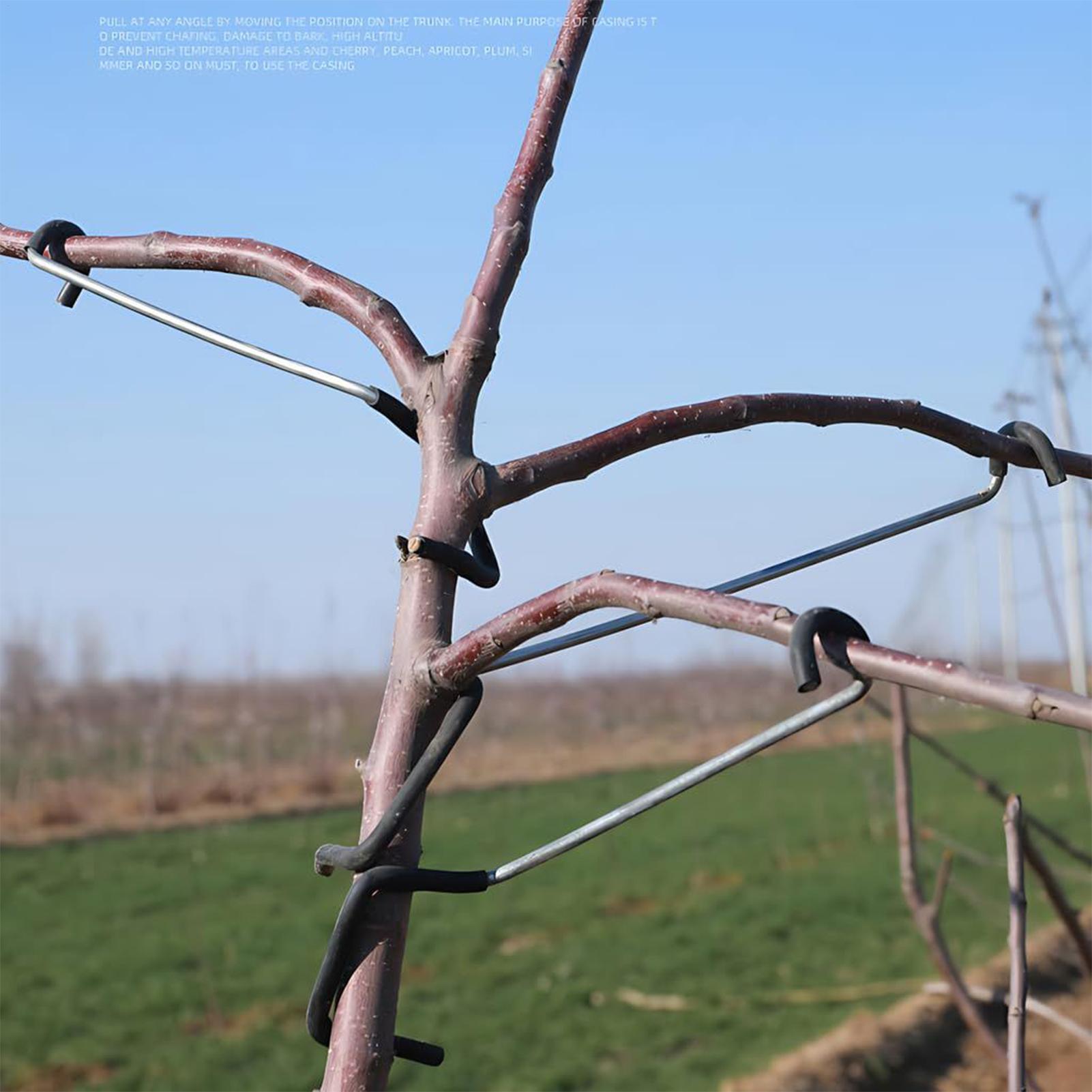 Tree Branch Spreader 10X Tree  - Concave Branch Cutter 评论和价格