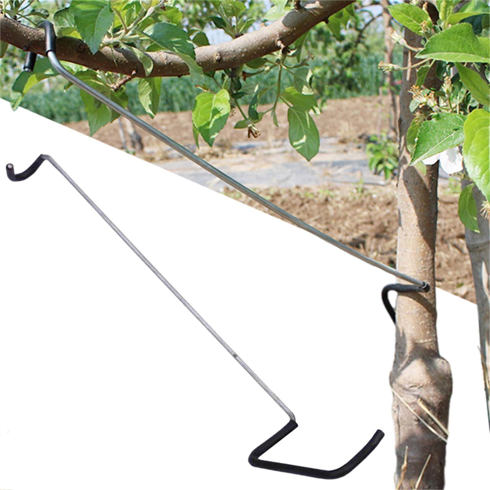 Tree Branch Spreader 10X Tree  - Concave Branch Cutter 评论和价格