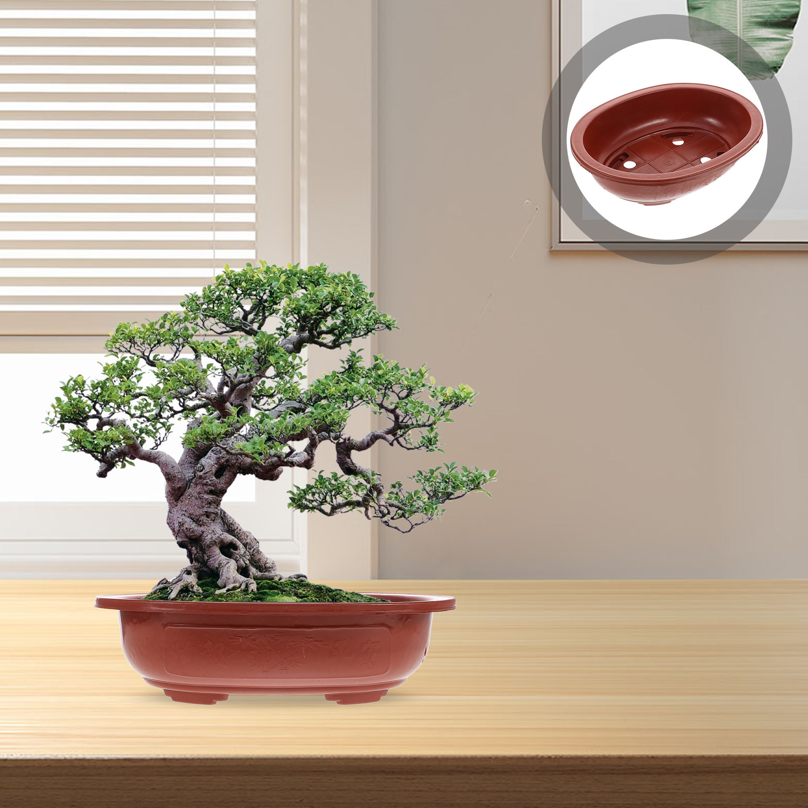 4Pcs Thickened Plastic Bonsai  - Bonsai Vertical Garden 评论和价格