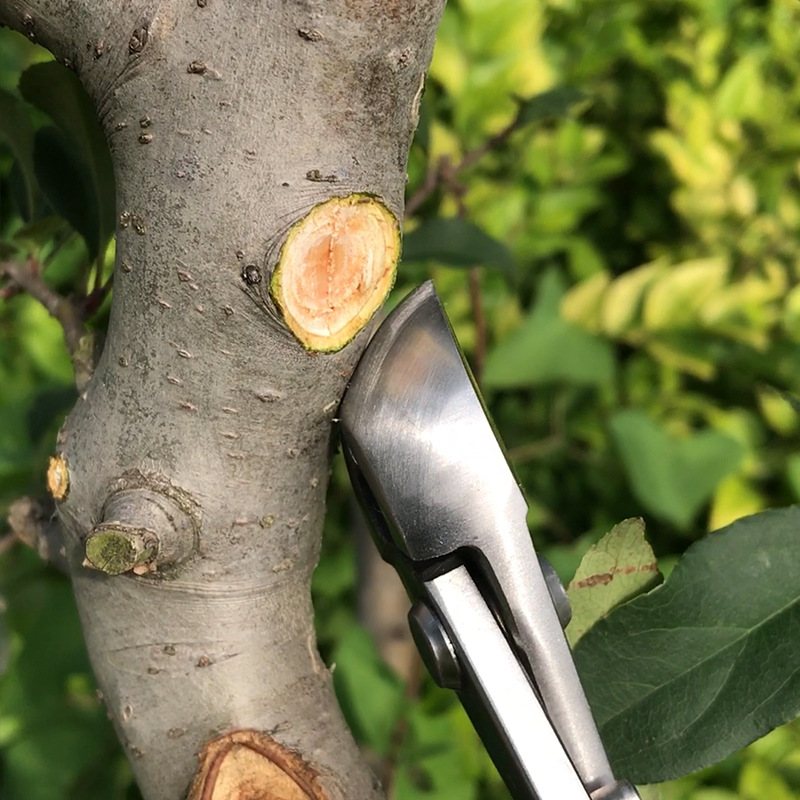 2 in 1 Bonsai Cutter Wear Resi - Concave Branch Cutter 评论和价格