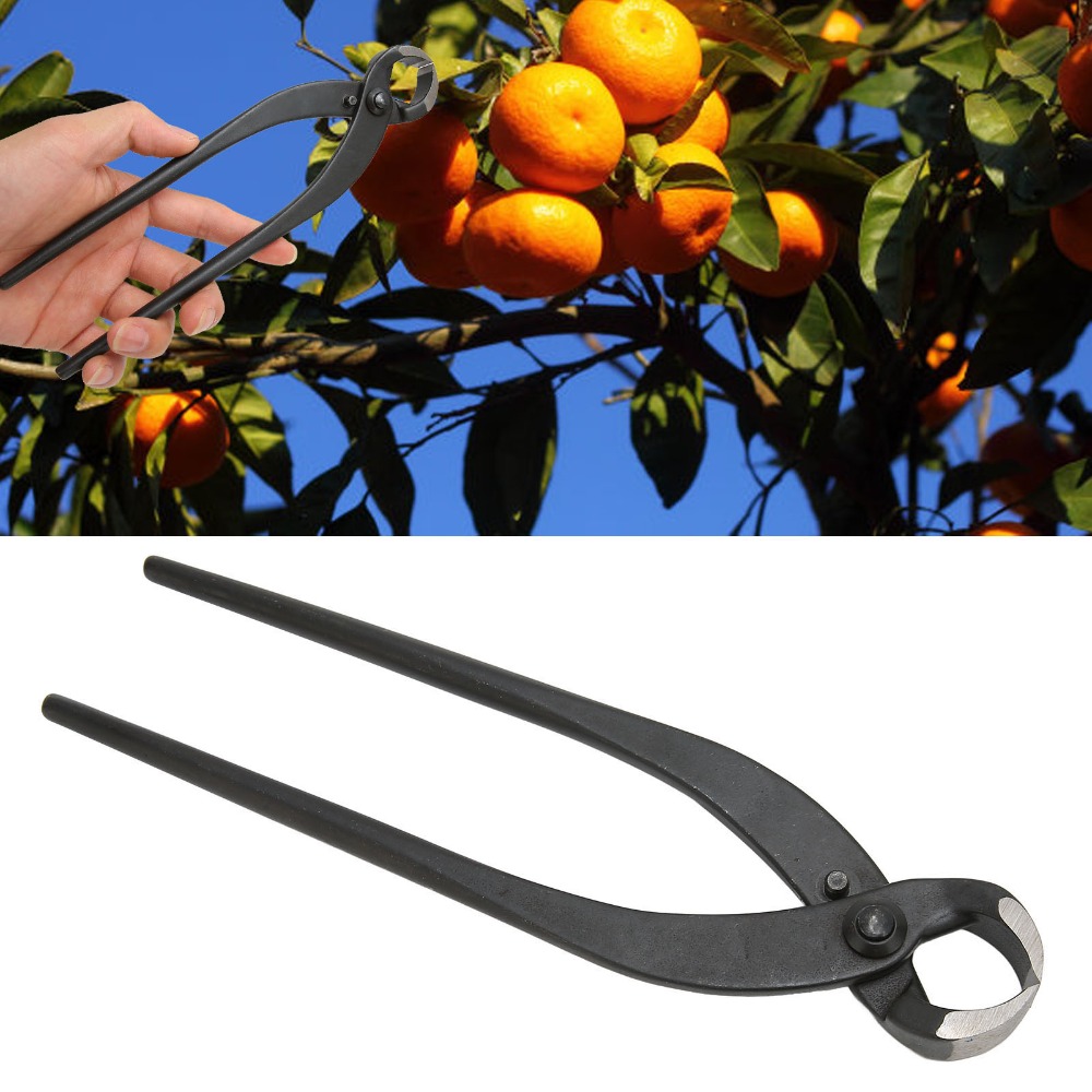 Manganese Steel Bonsai Branch  - Concave Branch Cutter 评论和价格
