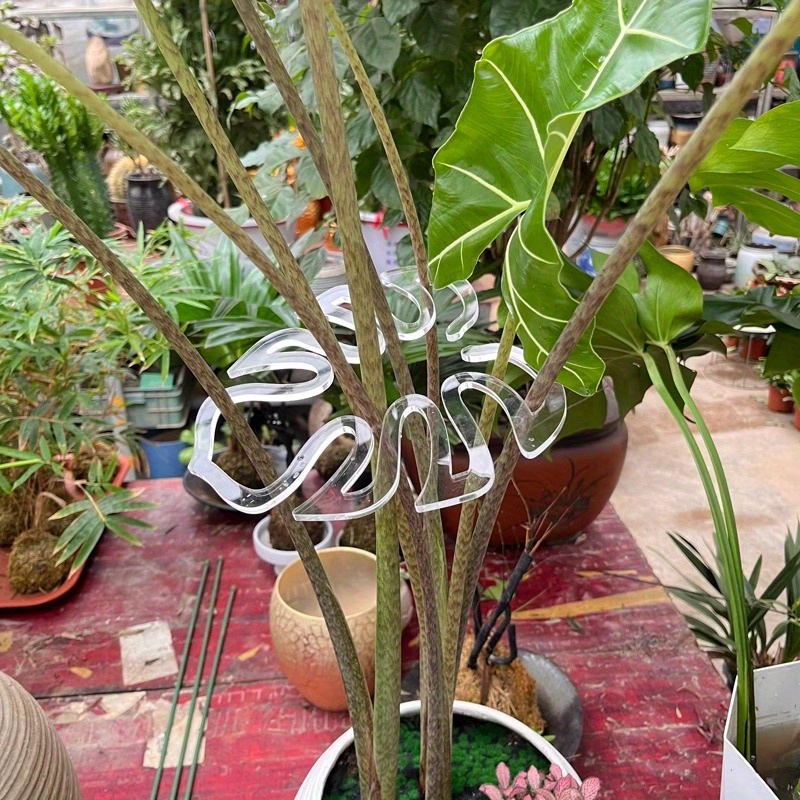 5Pcs Flexible Soft Plastic Pla - Bonsai Vertical Garden 评论和价格
