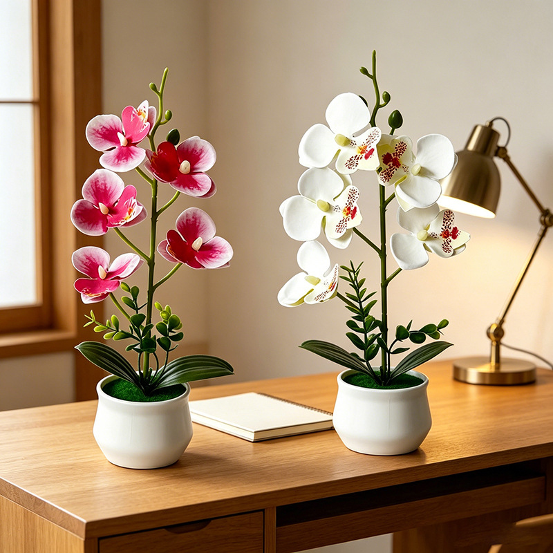 5 Flower Butterfly Orchid Simu - Bonsai Garden Layout 评论和价格
