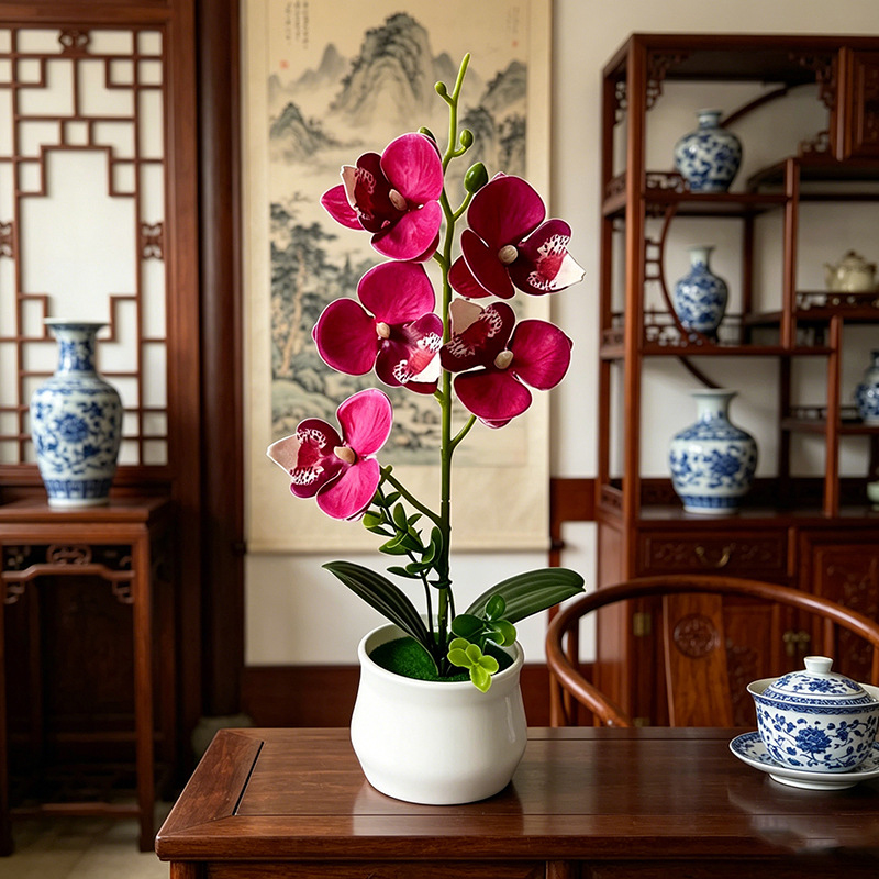 5 Flower Butterfly Orchid Simu - Bonsai Garden Layout 评论和价格