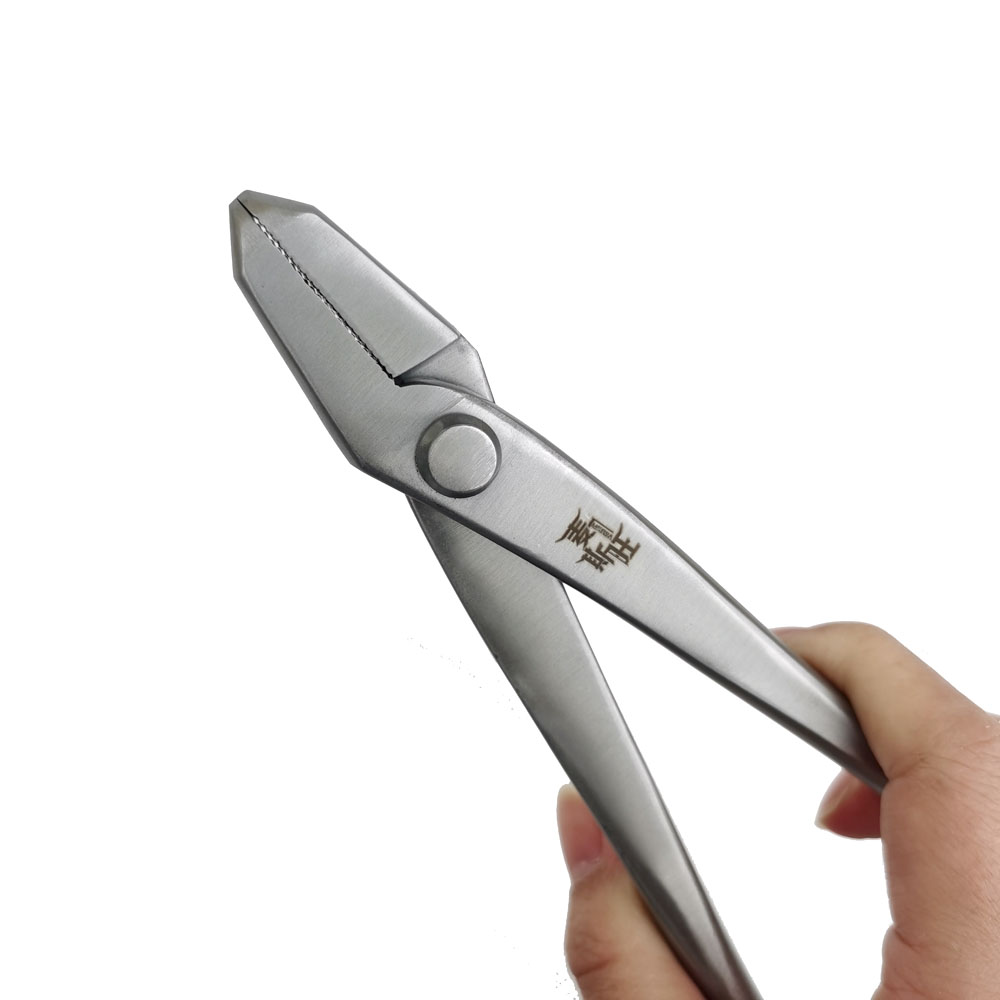 Stainless Steel Bonsai Tools C - Concave Branch Cutter 评论和价格
