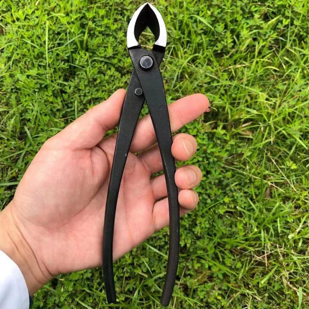 Bonsai Concave Branch Cutter M - Concave Branch Cutter 评论和价格