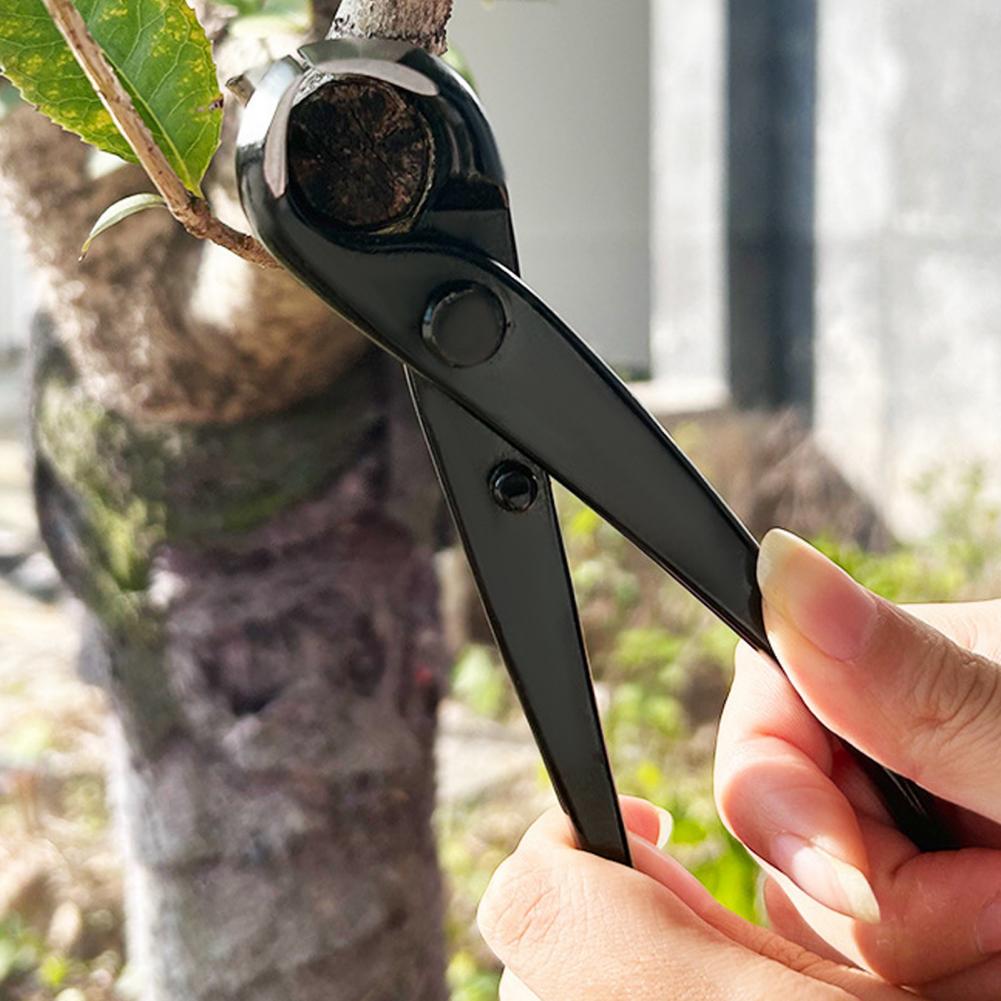 Bonsai Concave Branch Cutter M - Concave Branch Cutter 评论和价格