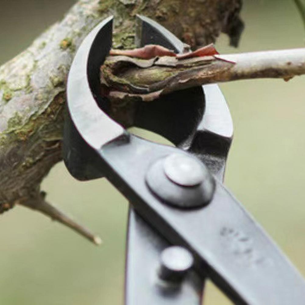 Bonsai Concave Branch Cutter M - Concave Branch Cutter 评论和价格