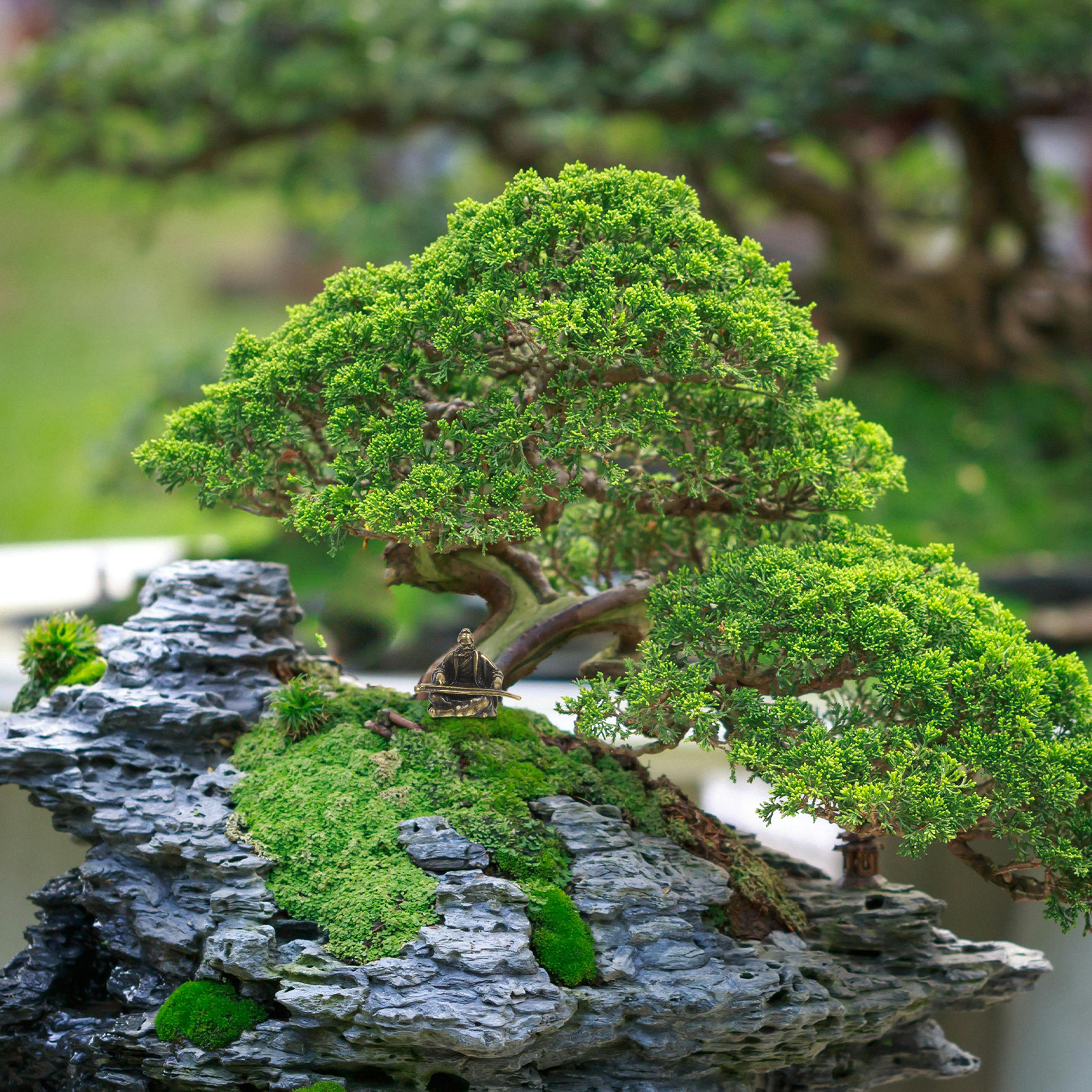 Copper Micro Landscape Ancient - Bonsai Garden Layout 评论和价格