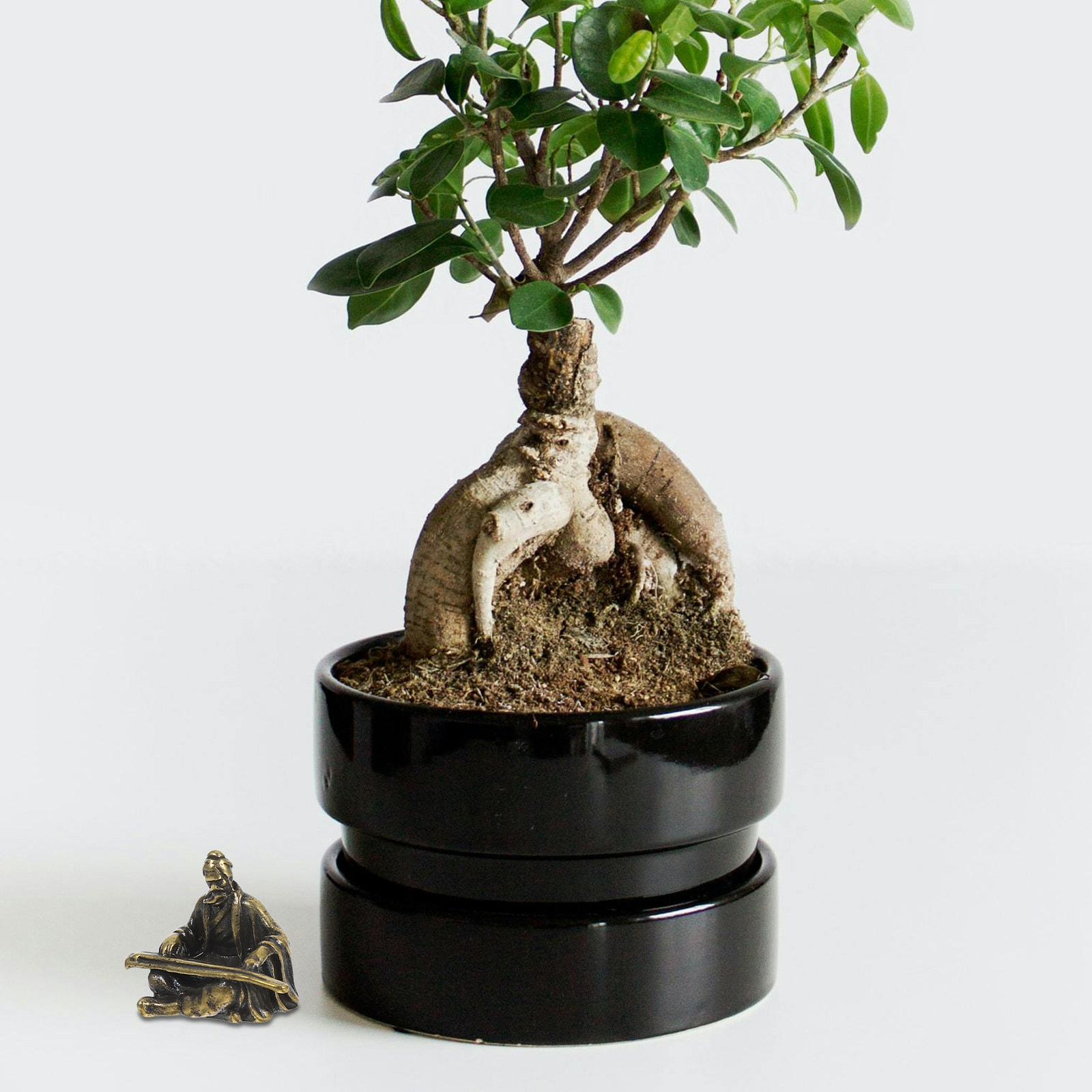 Copper Micro Landscape Ancient - Bonsai Garden Layout 评论和价格