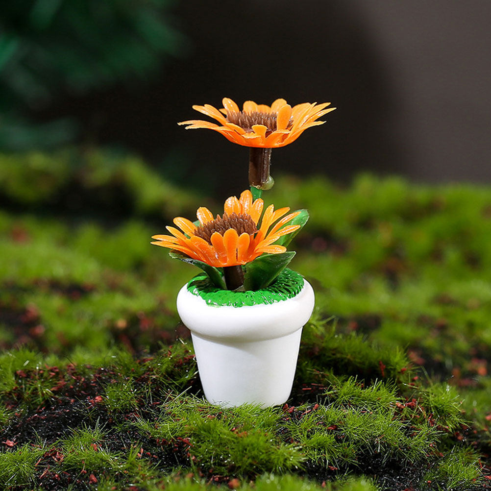 4Pcs Miniature Bonsai Plant Do - Bonsai Garden Layout 评论和价格