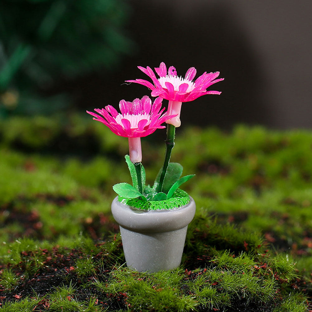 4Pcs Miniature Bonsai Plant Do - Bonsai Garden Layout 评论和价格