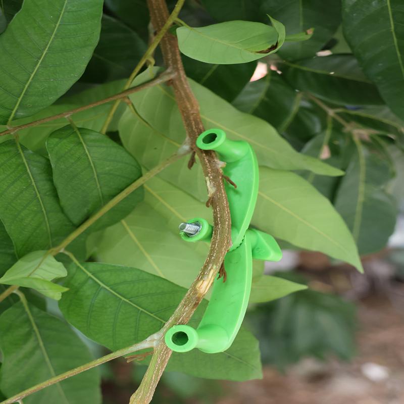 5pcs/set Heavy-Duty Adjustable - Concave Branch Cutter 评论和价格