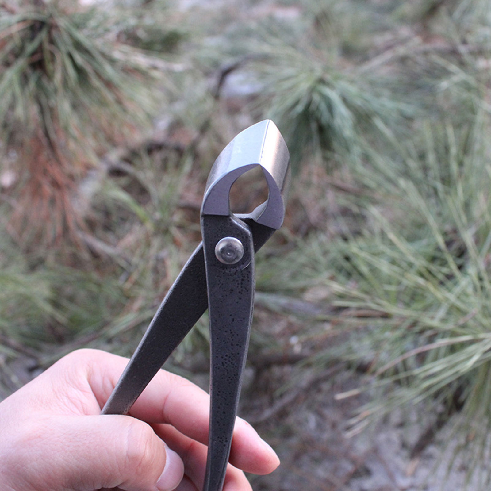 Garden Bonsai Knob Cutter Conc - Concave Branch Cutter 评论和价格