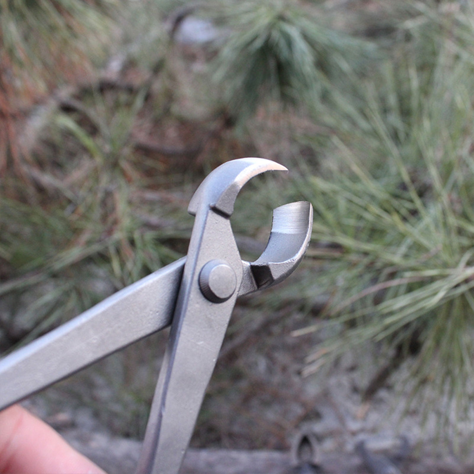 Garden Bonsai Knob Cutter Conc - Concave Branch Cutter 评论和价格