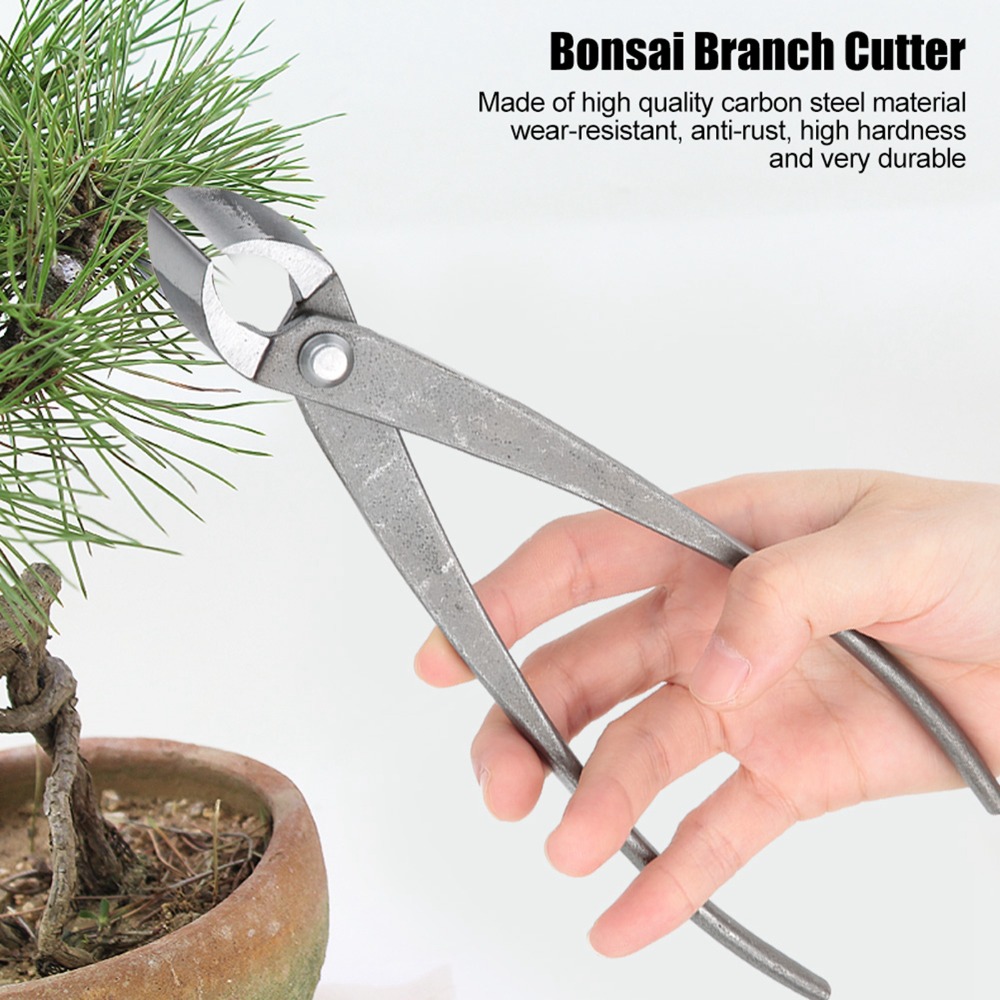 Stainless Steel Bonsai Branch  - Concave Branch Cutter 评论和价格