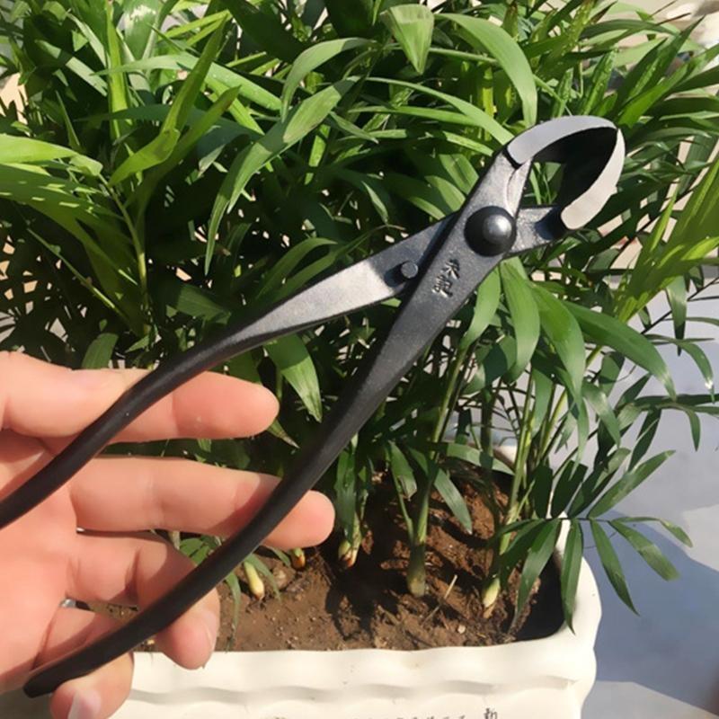 652F Sturdy Branch Cutter Carb - Concave Branch Cutter 评论和价格