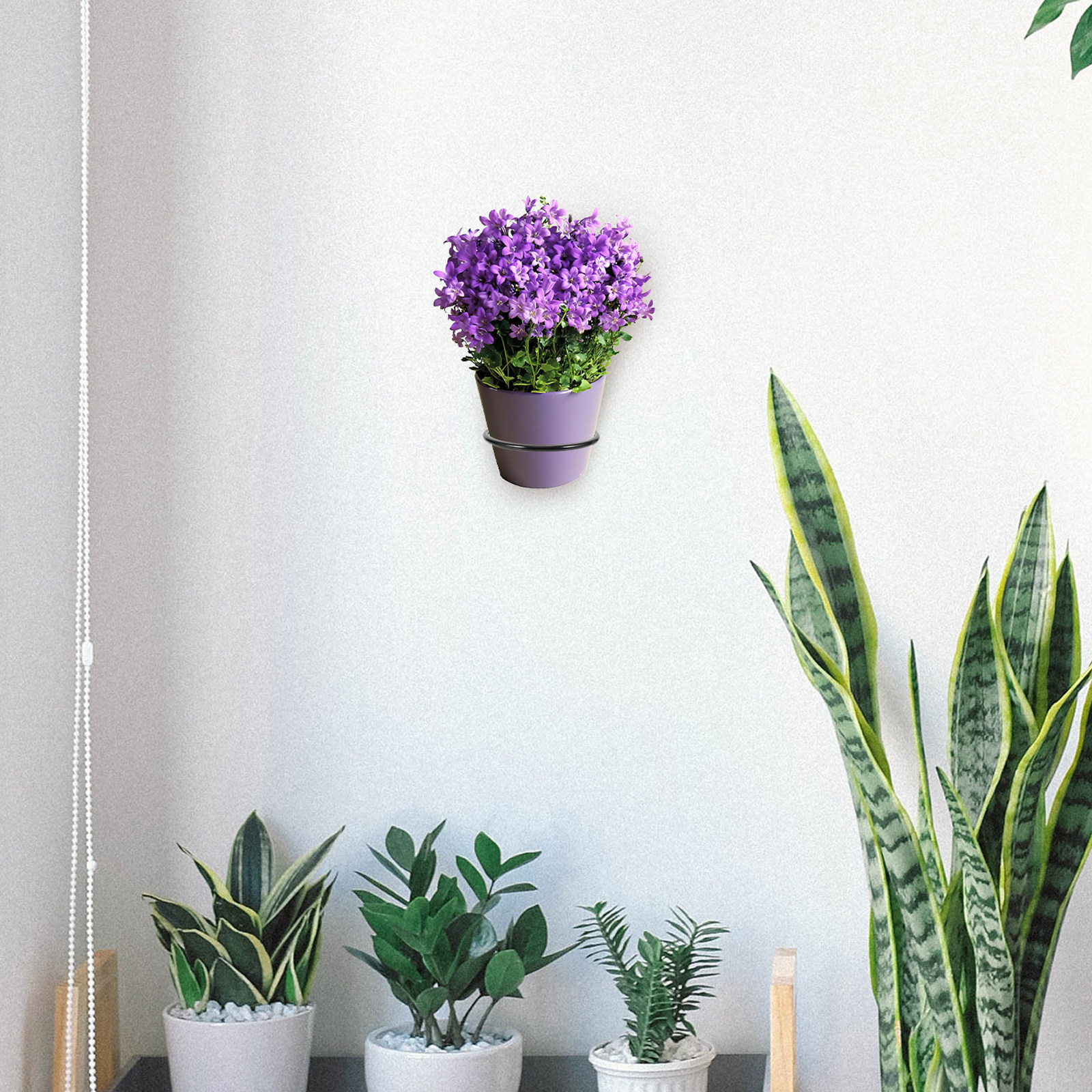 3Pcs Wall-Mounted Flowerpot Ra - Bonsai Vertical Garden 评论和价格