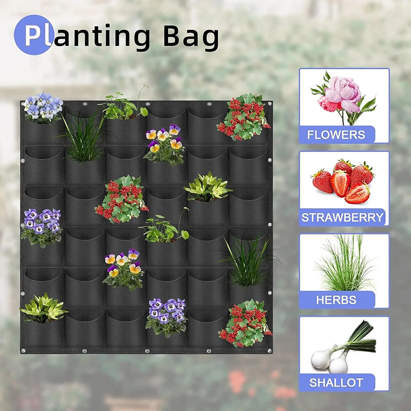 Wall Hanging Planting Bag Mult - Bonsai Vertical Garden 评论和价格