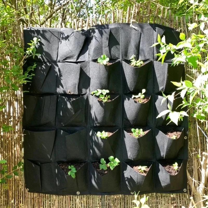 Wall Hanging Planting Bag Mult - Bonsai Vertical Garden 评论和价格