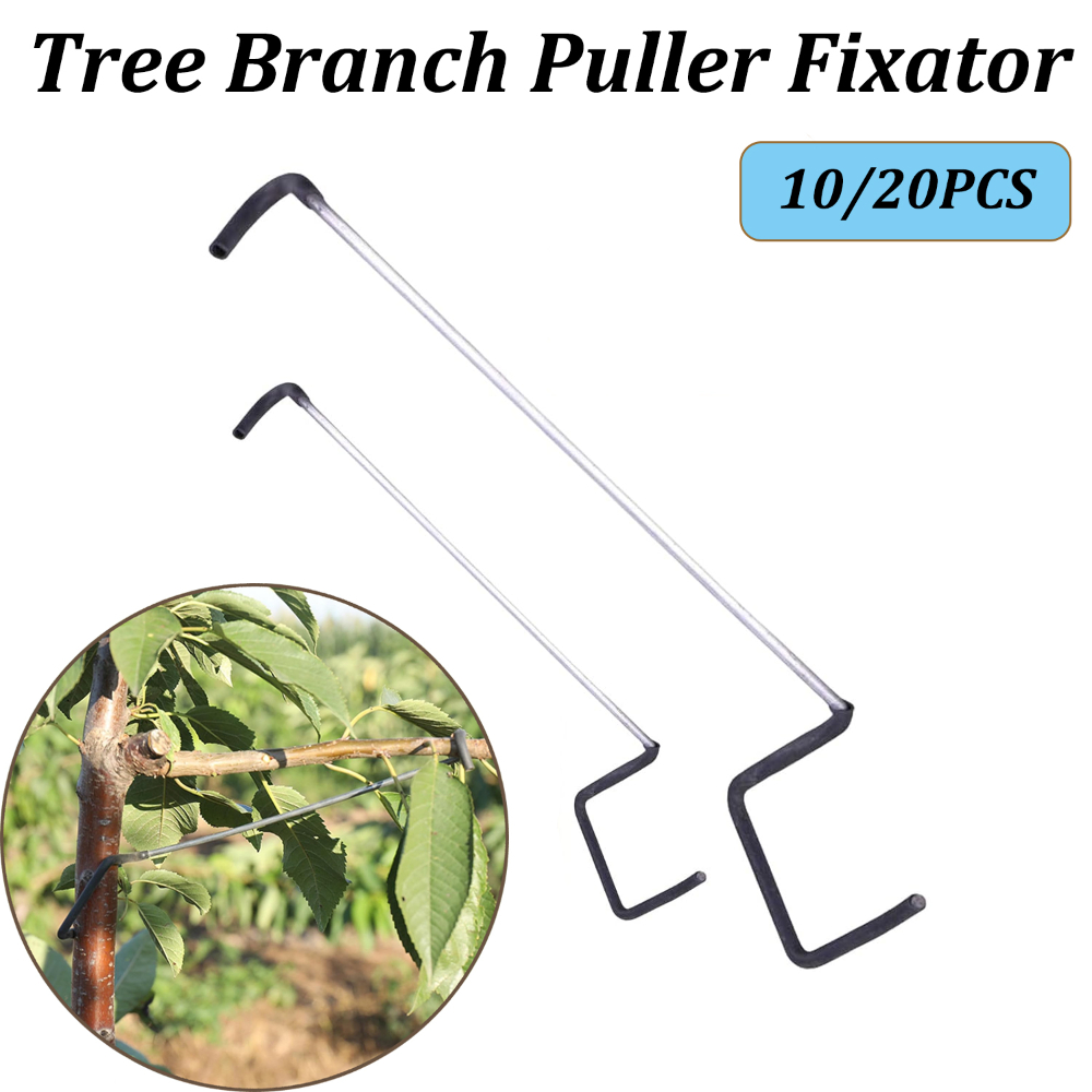 10/20PCS Fruit Tree Branch Lim - Concave Branch Cutter 评论和价格