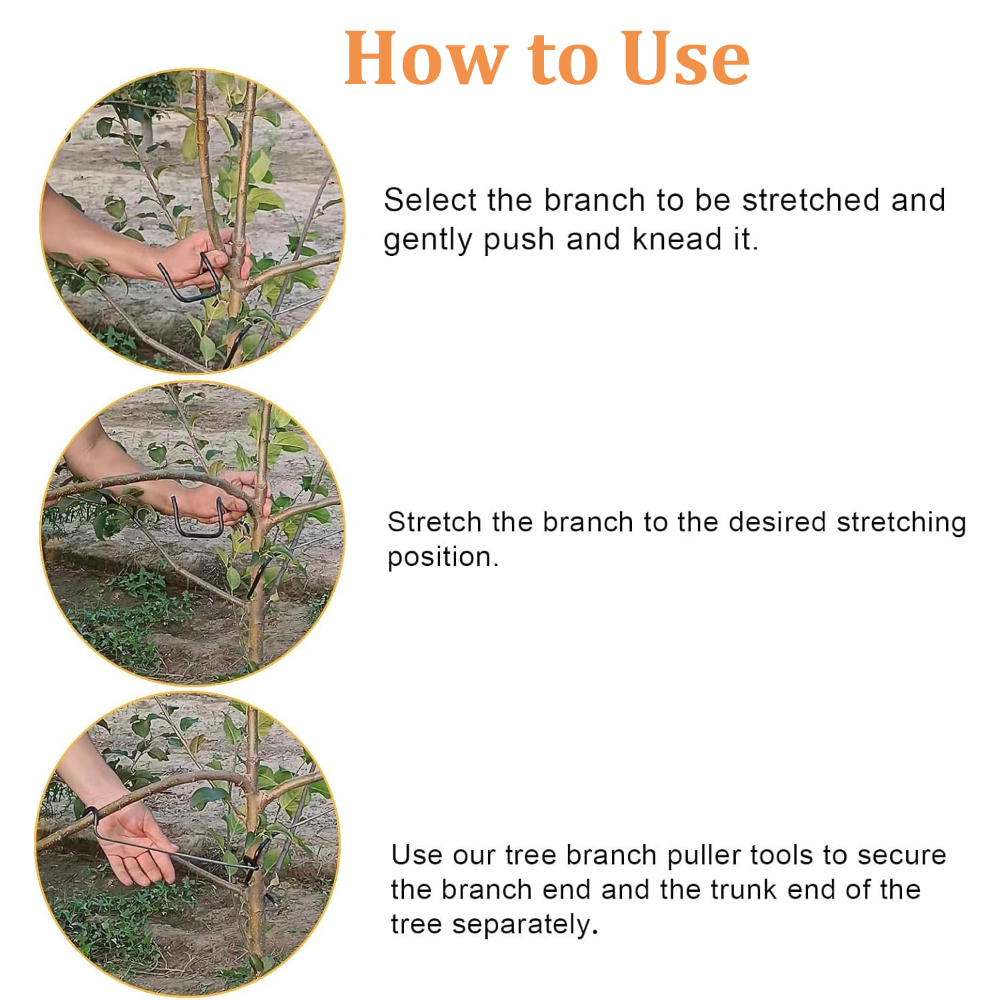 10/20PCS Fruit Tree Branch Lim - Concave Branch Cutter 评论和价格