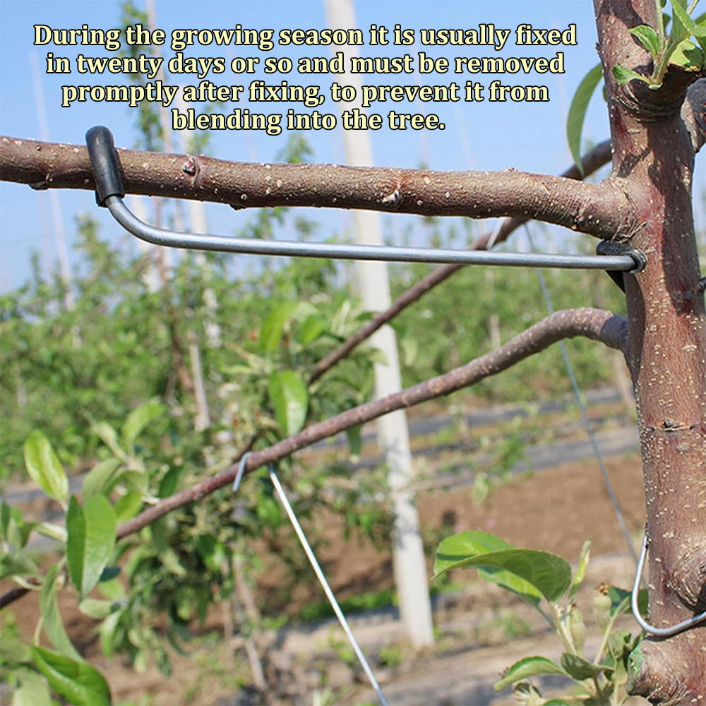 10/20PCS Fruit Tree Branch Lim - Concave Branch Cutter 评论和价格
