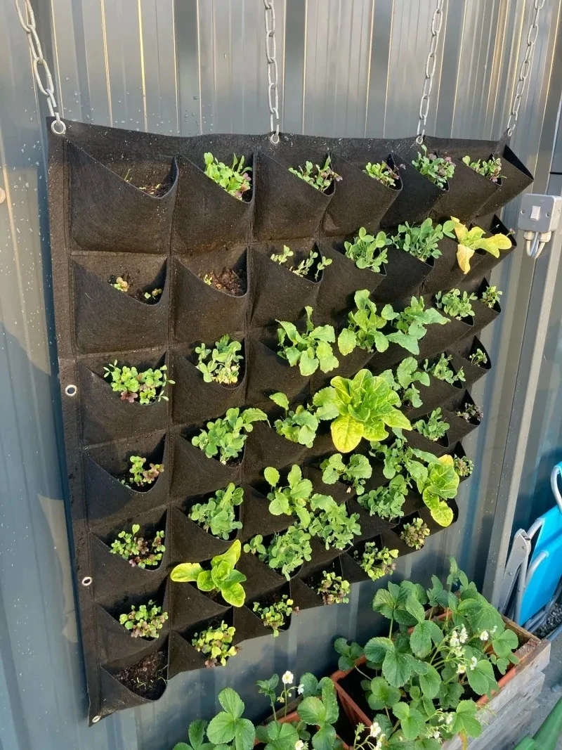 Wall Hanging Planting Bag Mult - Bonsai Vertical Garden 评论和价格