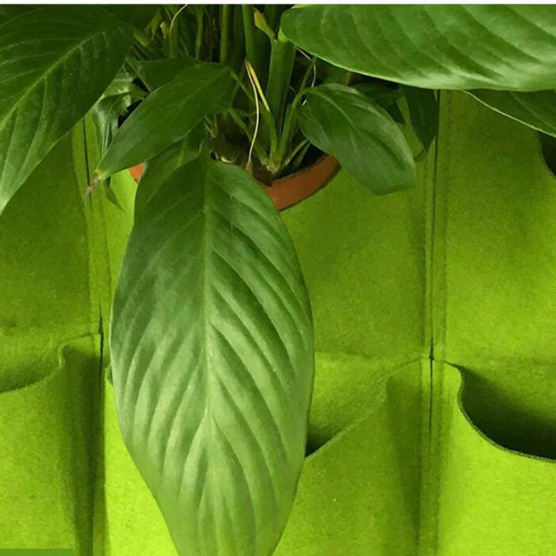 Wall Hanging Planting Bag Mult - Bonsai Vertical Garden 评论和价格