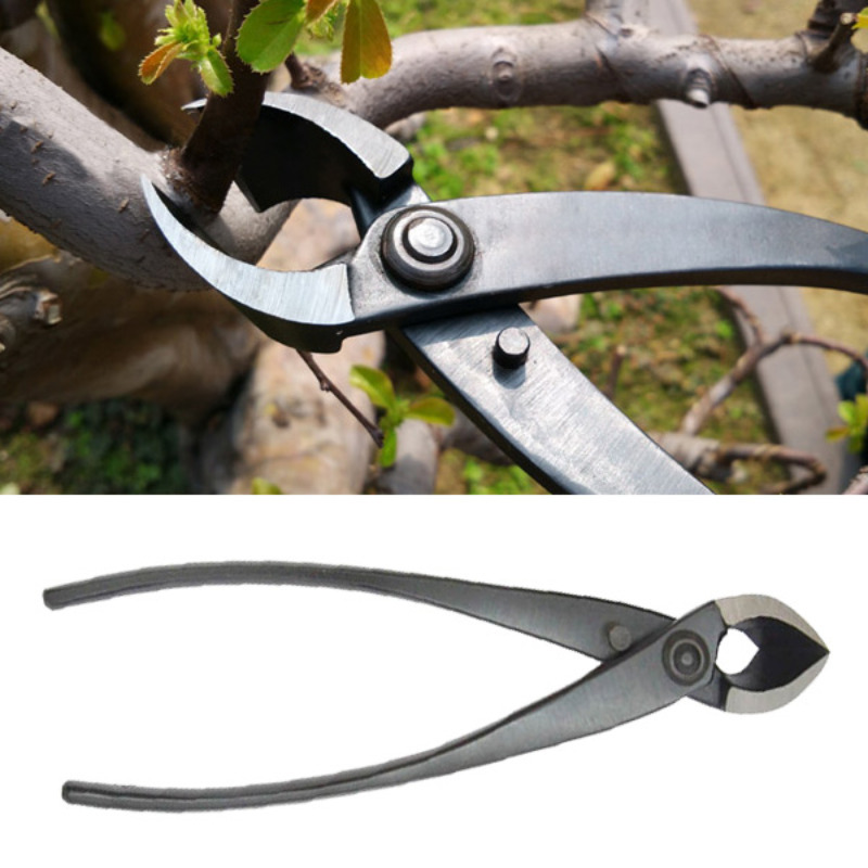 8 Inch Bonsai Concave Branch C - Concave Branch Cutter 评论和价格
