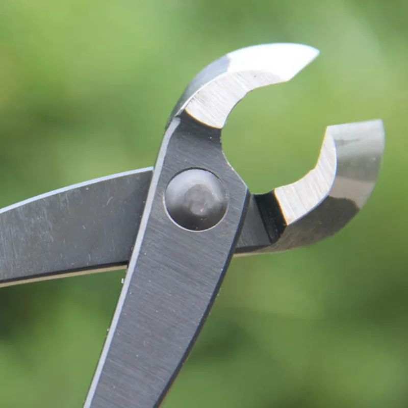 8 Inch Bonsai Concave Branch C - Concave Branch Cutter 评论和价格