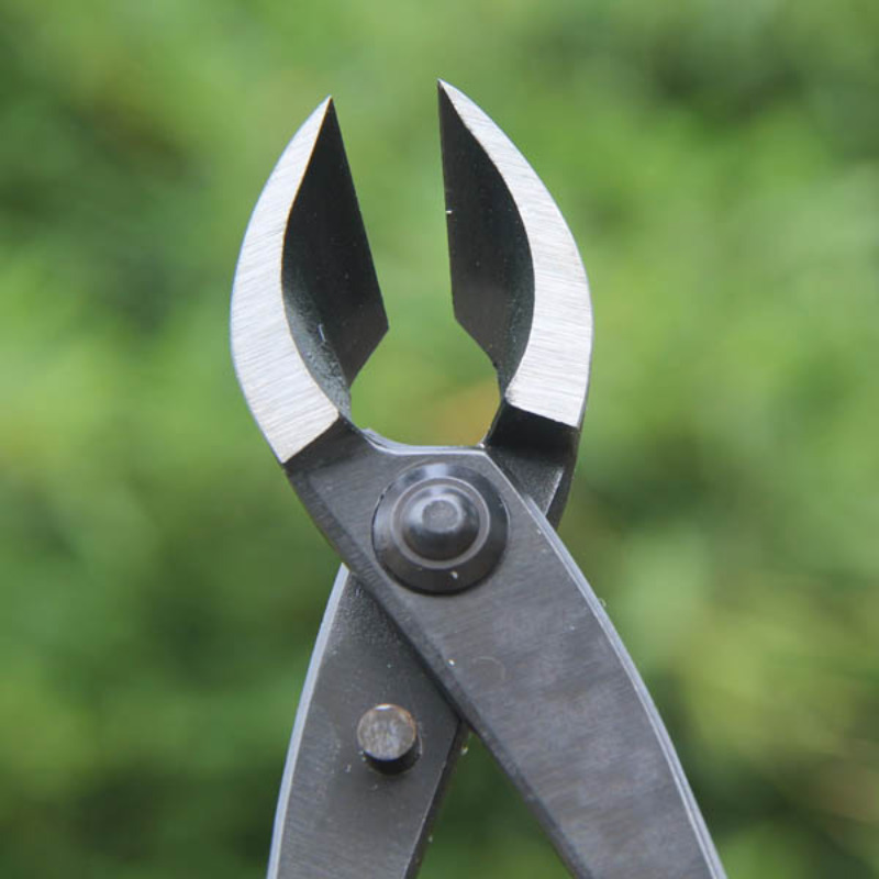 8 Inch Bonsai Concave Branch C - Concave Branch Cutter 评论和价格